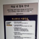 세븐일레븐제주사라봉점 | 24.10.23 제주에서 목포 씨월드고속훼리 퀸제누비아2 - 펫스텐다드 (애견동반 제주여행 이동)