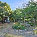 오륙에스티(56st) 이미지