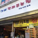 대박청과야채