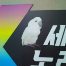 세븐노래방 | 대전 둔산동 앵무새가 있는 노래방 세븐노래방