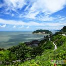 숲쟁이로L 이미지