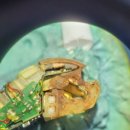 굿모닝보청기 강서가양센터 이미지