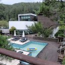 타피올라 이미지