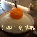 [홍대맛집] 여름엔 빙수를 먹어야죠! &#34;눈 내리는 숲, 설래임 홍대본점&#34; 내돈내산 후기!!
