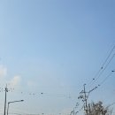 송월농장 | 대박이, 킹키부츠