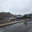 백양문화예술회관 | 부산 벚꽃구경 막차타고온 후기(부전시장, 연제고분판타지축제, 백양문화예술회관 토요콘서트 해서웨이)