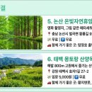 와룡목장 네이버블로그