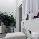 김컷트&컷트 | 일산 백석 미용실 더데이 백석점 권진 원장 컷트 후기