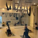 중앙무용학원 | 광교중앙역 요가학원 오늘의움직임 1달차 후기. 하타요가 골반교정요가 광교요가 추천