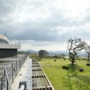 9.81 PARK JEJU 이미지