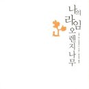 셀루스 브런치