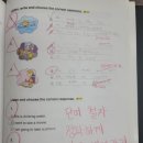 와이비엠잉글루최강영수학원