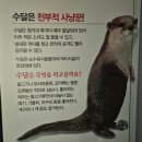 무주곤충박물관 | 무주]무주반디랜드 : 아이와 무주여행 필수코스! 무주반디랜드 곤충박물관 솔직 후기 // 아이들이...