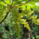 상주산소 이미지