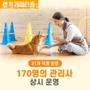 도그마루강아지고양이분양구미대구