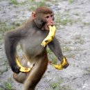 이스타빌 이미지