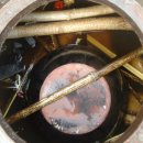 옻나무집 이미지