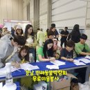 도그아트켄넬 이미지