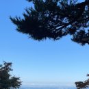 신라 스크린골프 이미지