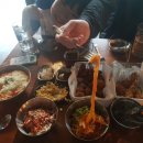 오스타비어 이미지