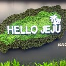 2월 제주도 혼자 여행🏖️ - &lt; 1일차 / 파워 P의 얼렁뚱땅 첫날 보내기 &gt;