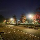 세종동_전월산 무궁화 테마공원 이미지