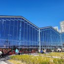 스윗마켓 이미지