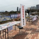 세종의 아침 태권도 네이버블로그