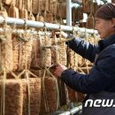 하미토미 영농조합법인 이미지