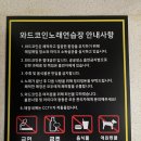와드코인 노래연습장 이미지