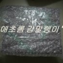 애초롬