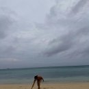 엄정화 카카오 검색결과