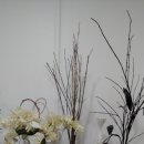 보떼메이트 이미지