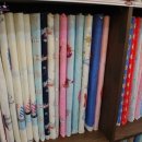 제인콜렉션(Jane collection)