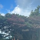 성읍리-27 이미지