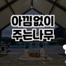 아낌없이주는나무에서의 럭셔리 글램핑 체험🌲