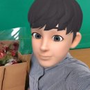비인풀블룸 이미지