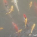 양평쉬자파크 이미지