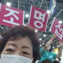 라이브사랑벌 이미지