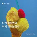 할타보카 | 대구 명물 젤라또 소르베 맛집은 여기, 대구 수성구 만촌동 할타보카