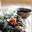 점봉산 산채 이미지