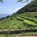 셀세모 남해점 이미지