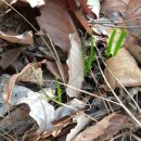 두메농장 이미지