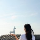 시내권 투어 1 이미지