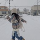 신어지