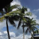 파라다이스 이미지