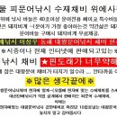 내외낚시 이미지