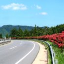 순천-29호 이미지