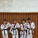 용인대 엘리트 태권도장 이미지
