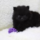 구월2동-16 이미지